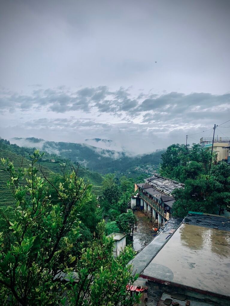 This is the beautiful view of my village after rain